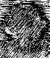 wpe3.jpg (6380 bytes)