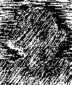 wpe10.jpg (6543 bytes)