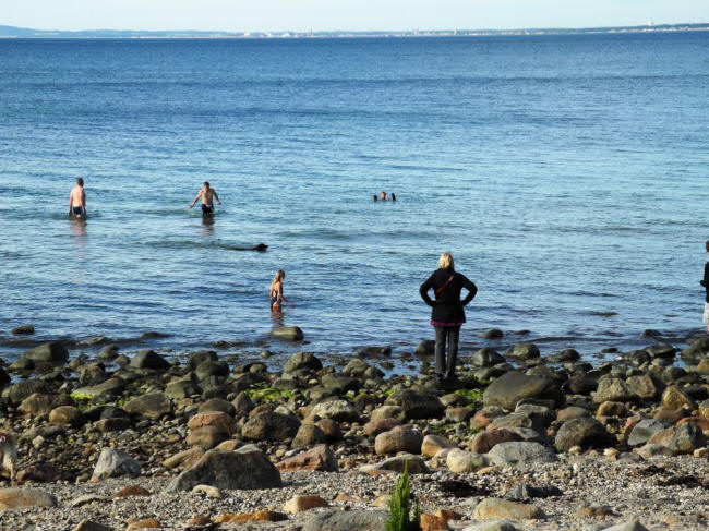Hornbæk strand