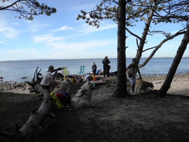 Romaer ved Hornbæk