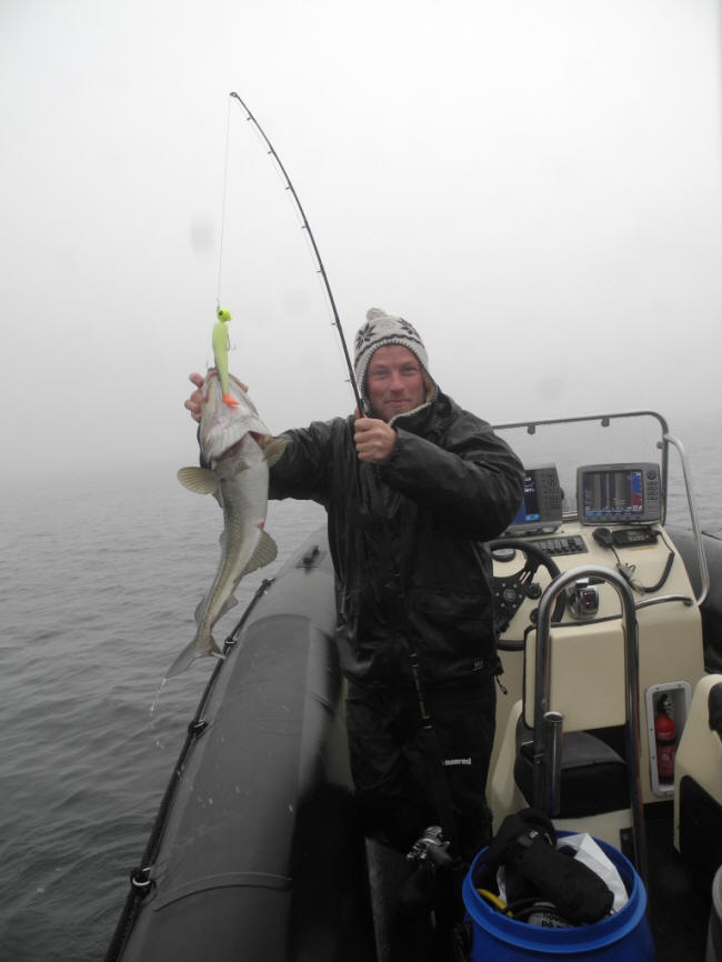 En hurtigt torsk eller 2?