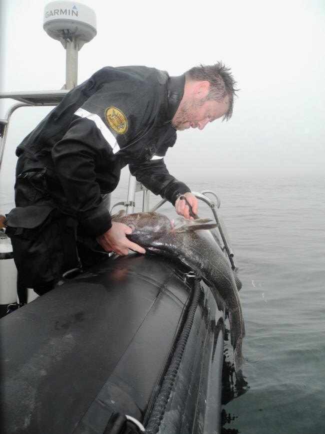 Nogle skal jo gøre det