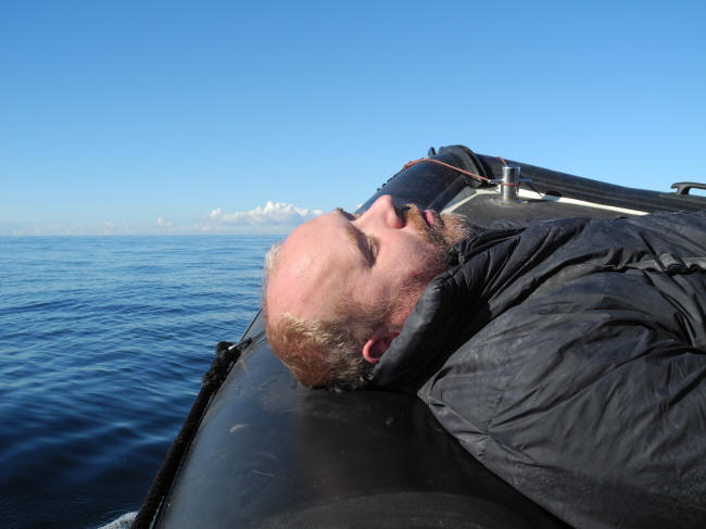 Snorketræ