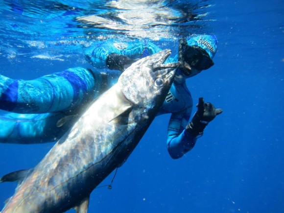 Feriebilledet man drømte om
