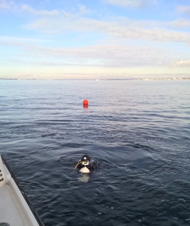 Mens det gik godt...