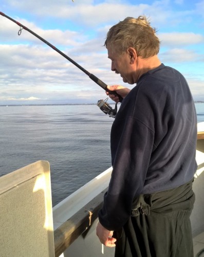 Det skal jo prøves.