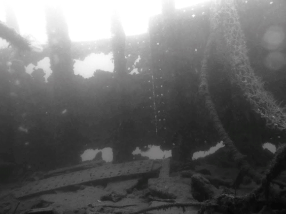 Vraget er i kraftigt forfald - og god sigt!