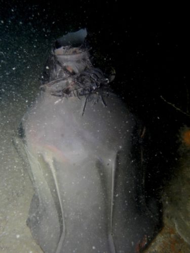 Karaffel fra Denham (den står der endnu)