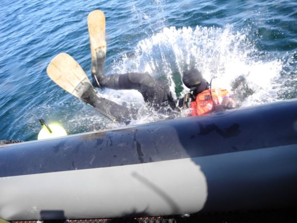 Så skal der bindes på - gæt hvem der gør det...