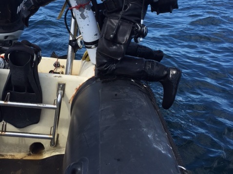 Resultatet af et sjusket makkertjek...