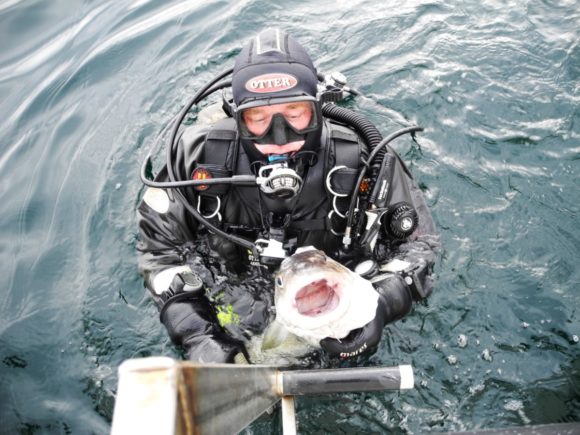 Torsk på stigen - det er Kasper i med udstyret på...