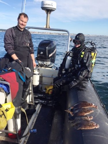 Søren må godt se på Henriks rødtunger---