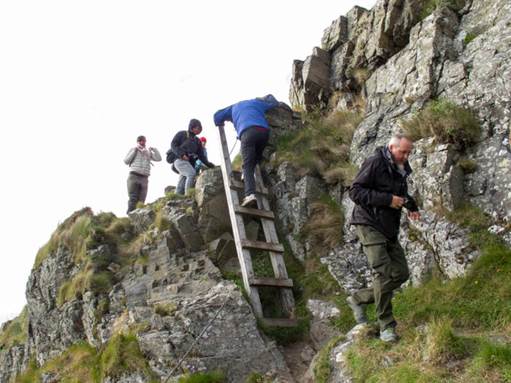Hvad siger arbejdstilsynet?