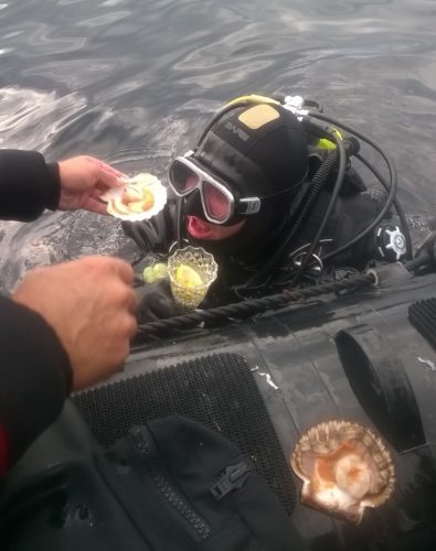 Måske grunden til at der ikke var så mange muslinger med hjem...