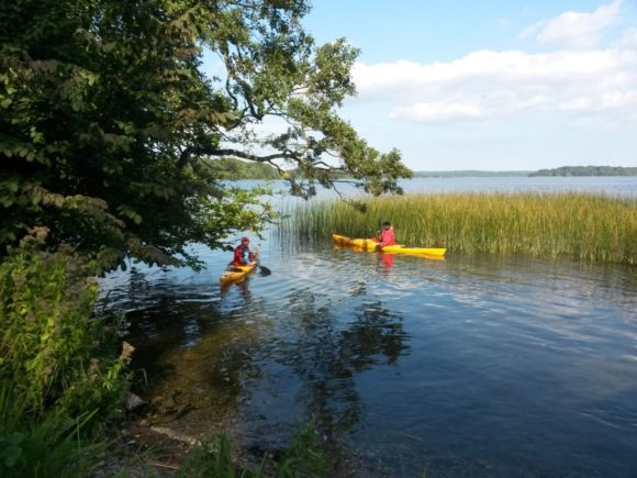 Der var ikke mange bølger
