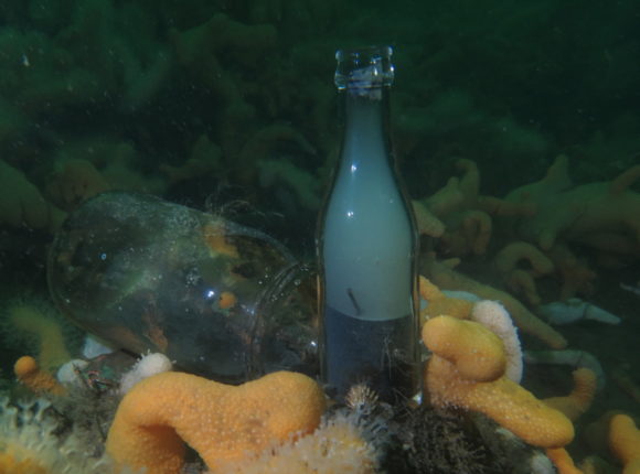 Glasvarer, der blev sat op for at markere reserveskruen (som kan være svær at få øje på).