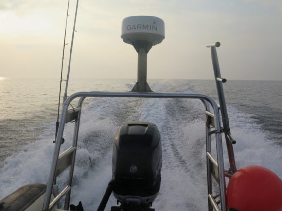 Det går strygende fra morgenstunden.