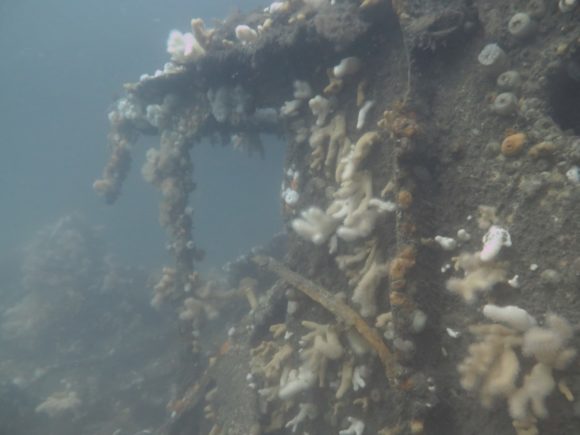 Man kunne da finde rundt...