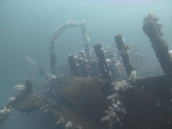 Klart eller noget der ligner...