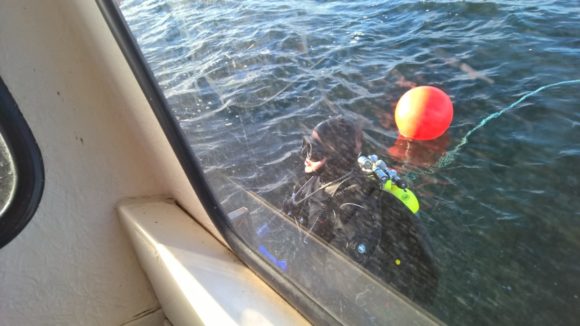 wp_20161112_11_31_11_pro