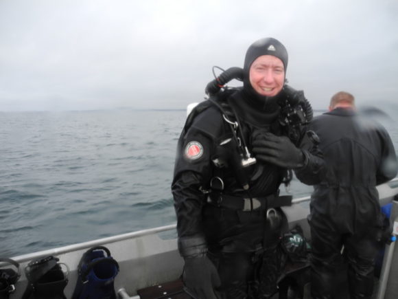 Anden med nyt legetøj