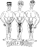 havbosser.tif (1118692 bytes)