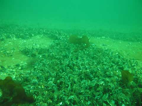 20030322-103543-her