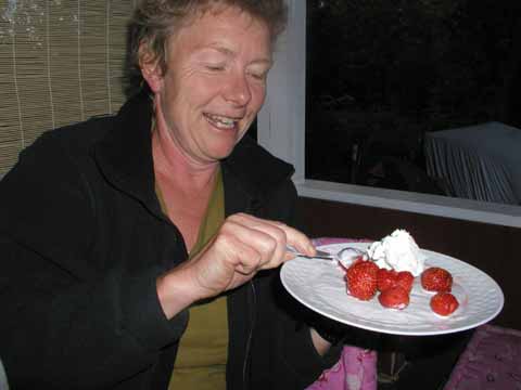20030621-205229-her