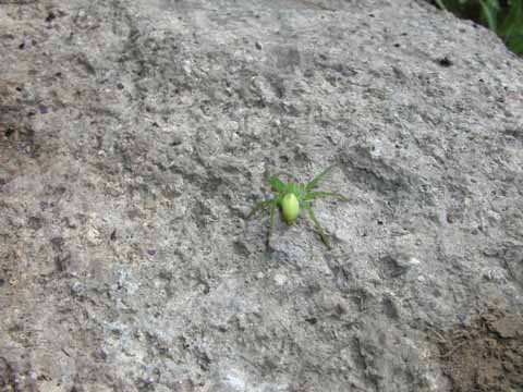 20030622-143022-her