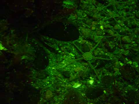 20030713-135808-sten