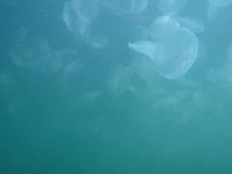 20030713-142921-sten