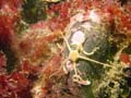 20030713-135928-sten