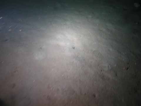 20030526-091205-hm.jpg