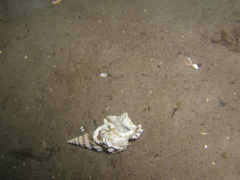 20030526-100013-her