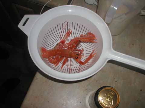 20030526-231725-her