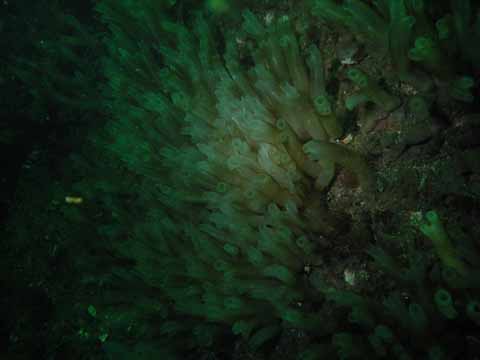 20030528-095745-hm