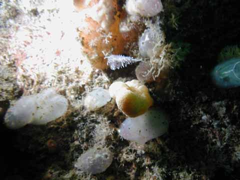 20030528-103054-hm