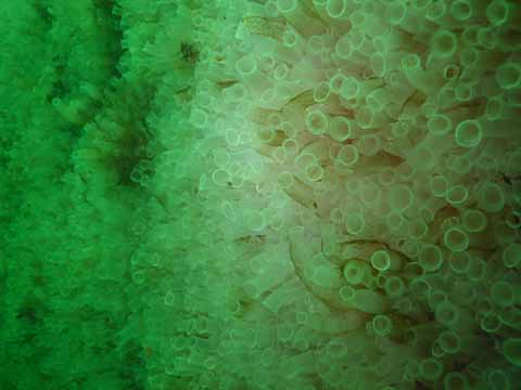 20030528-104136-hm