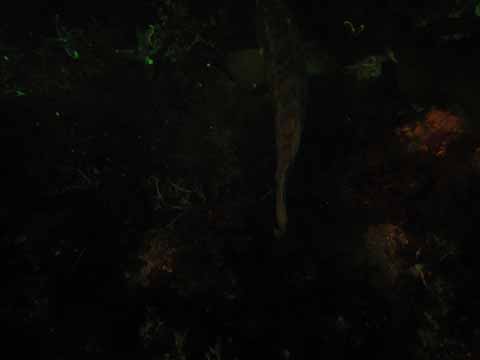20030528-105503-hm