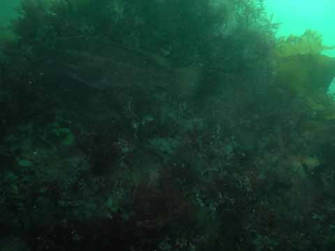 20030528-105552-hm
