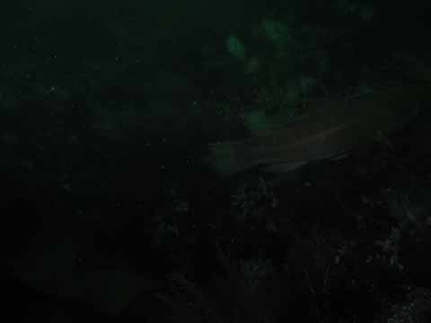 20030528-105605-hm