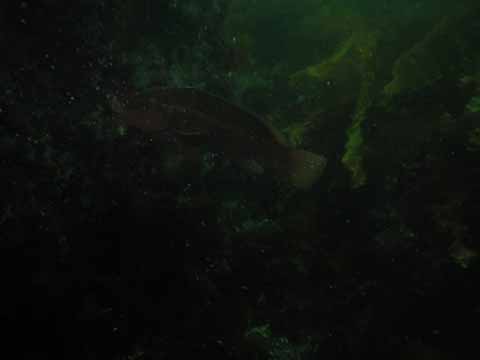 20030528-105625-hm