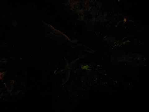20030528-154006-hm
