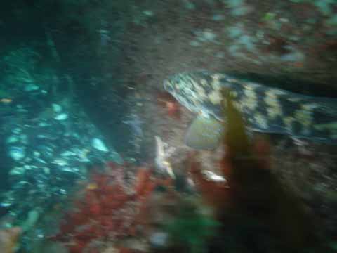 20030528-154641-hm