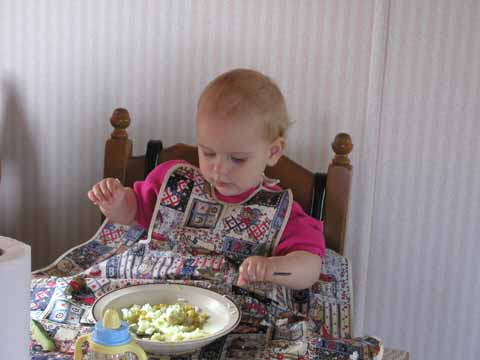 20030529-171613-her