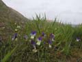 20030525-090244-her