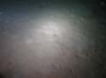 20030526-091205-hm.jpg