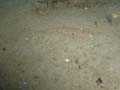 20030527-090826-her