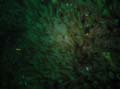 20030528-095745-hm