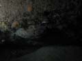 20030528-100328-hm